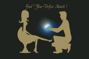 FIND YOUR PERFECT MATCH